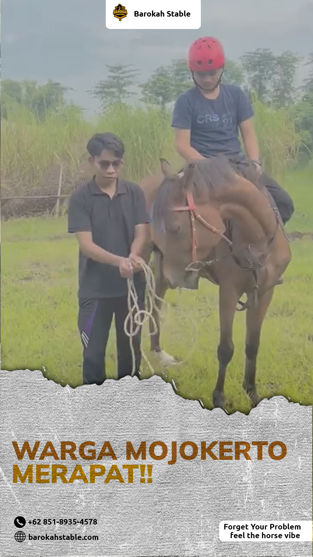Berkuda Terdekat di Mojokerto